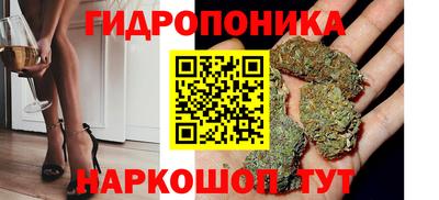 СК Краснодар