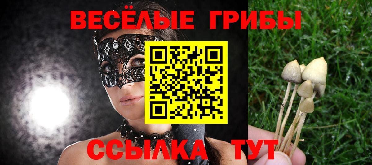 Галлюциногенные грибы ЛСД Шелехов