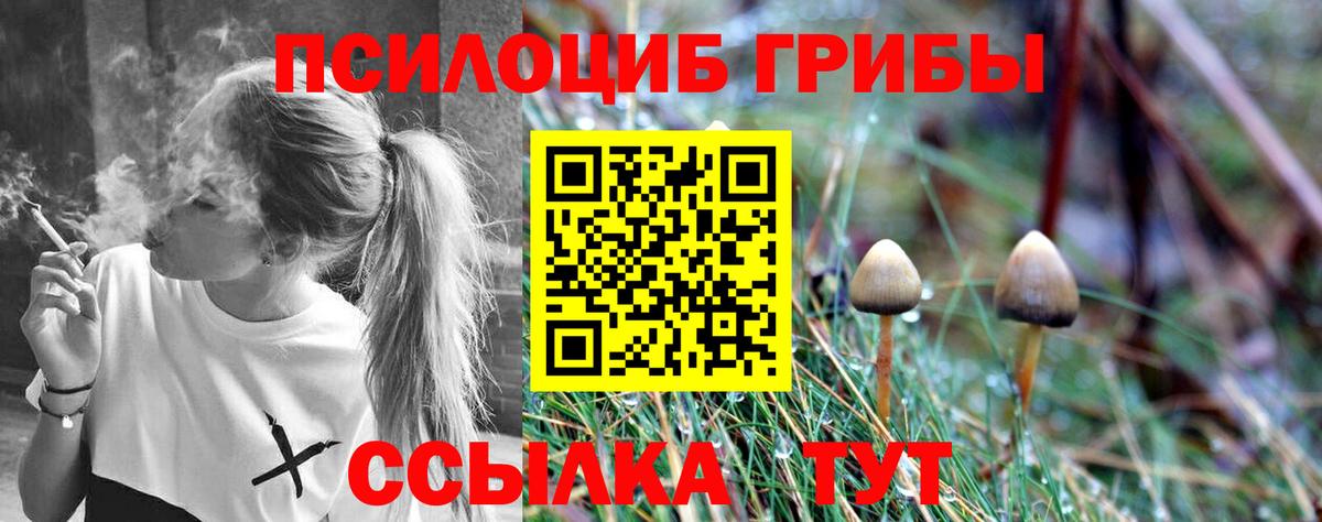 Шелехов  наркошоп  Вход с VPN  Галлюциногенные грибы Cubensis 